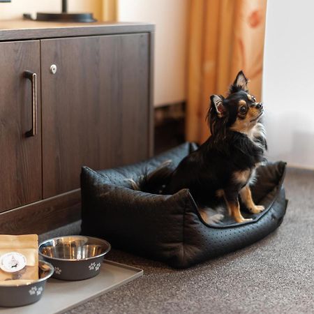 Maisonette-Apartment An Der Frauenkirche เดรสเดน ภายนอก รูปภาพ